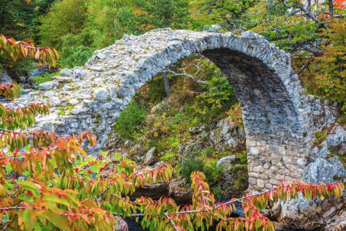 Carrbridge Packhorse Bridge