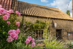 A pretty cottage near the duck pond