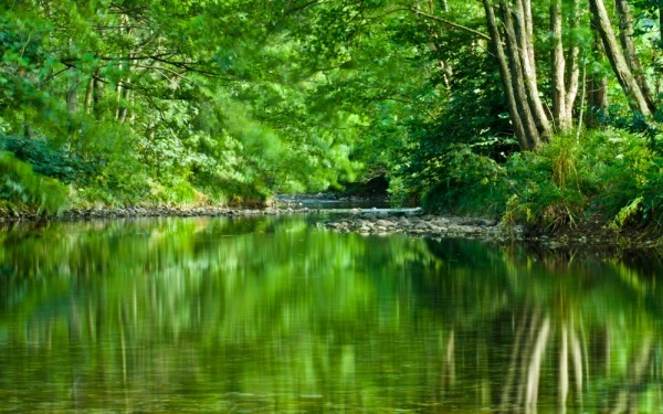 The trail runs beside the River Derwent