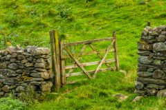 The trail starts climbing as you reach the far bank