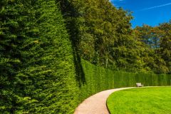 The circular croquet lawn hedge