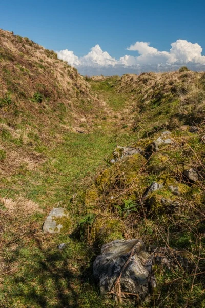 The earthwork banks and ditch