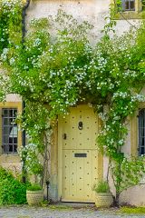 There's a cottage under there!