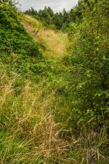 At the bottom of the first camp defensive ditch