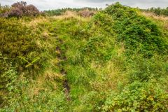 The second camp's earthwork defences