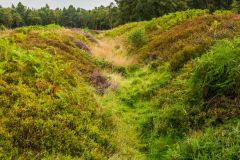 The second camp's earthwork ditch