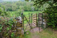 The view from the churchyard