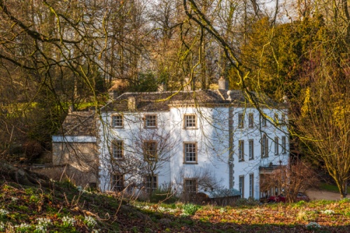 Cerney House