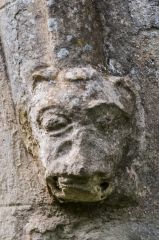 A medieval beast's head carving