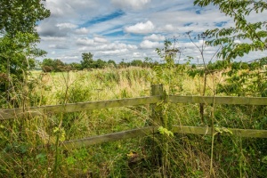 Looking over the Chalgrave Castle site