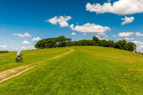 Chanctonbury Ring