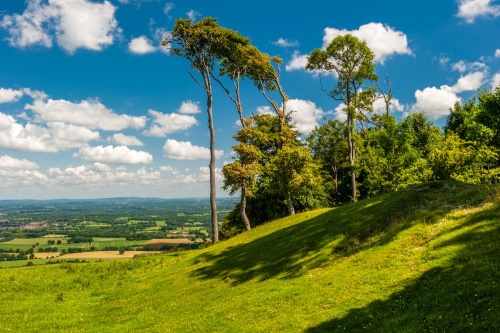 On the slope of the fort's earthwork bank
