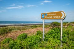 Look for the brown tourist signs!