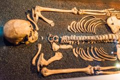 Skeleton of Sir Walter de Manny