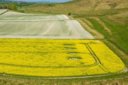 The view from Cherhill Down