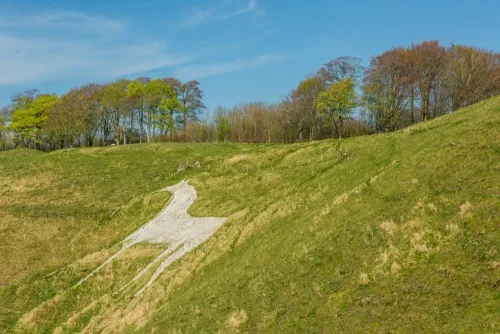 The view from the slope of Cherhill Down