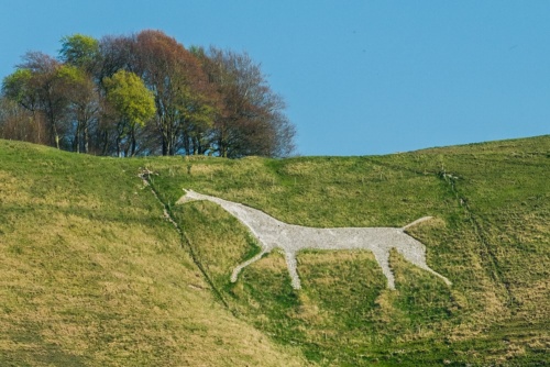 Cherhill White Horse
