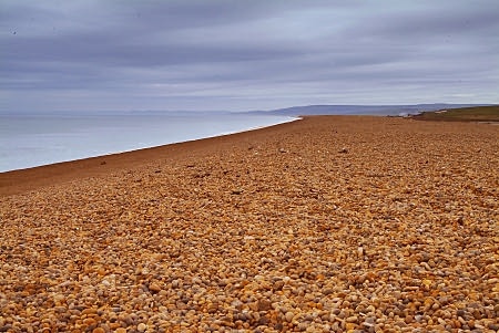 The Fleet, Chesil