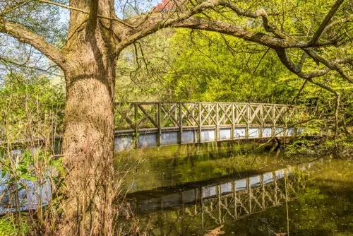 A picturesque bridge in the castle grounds