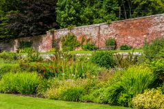 An attractive border to the west lawn