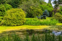 A trail leads around a quiet lake