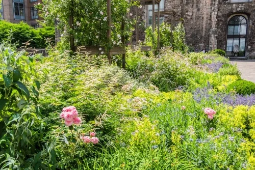 The colourful garden