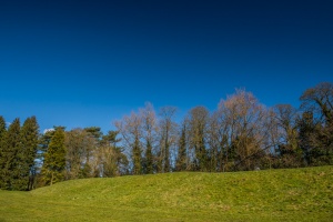 The earthwork western side of the wall