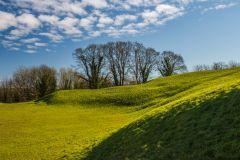 On the amphitheatre floor, looking north