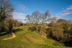The Roman Amphitheatre