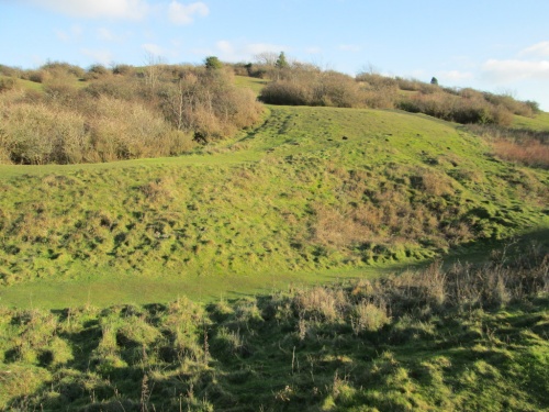 Cissbury Ring (c) Peter S