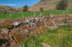 The north section of the burial ground