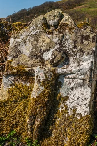 One of the 1737 gravestones