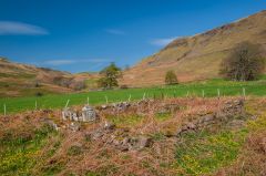 The burial ground, looking north
