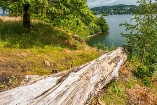 Lake Windermere from the viewing station