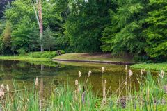 Another view of the Lake