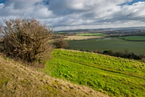 Medieval strip lynchets