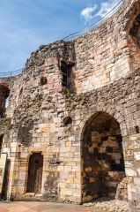 Inside the Tower enclosure