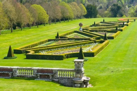 The Parterre