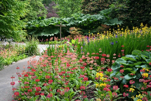 Clyne Gardens (c) Martin Bodman