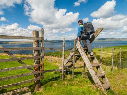 Climbing the deer fence stile