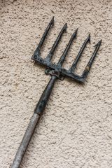 A traditional salmon spear, or 'leister'