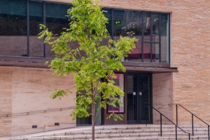 The Collection main entrance