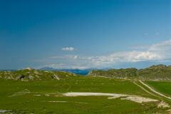 The Whale Sculpture from the nearby hill