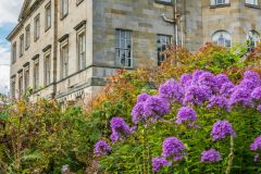 The Hall from the Terrace Garden