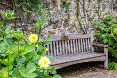 A quiet garden bench