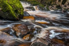 Conwy Falls, The River Conwy