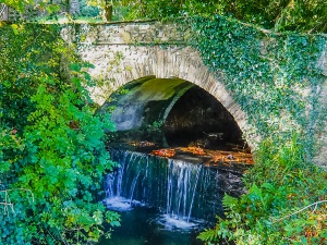 Coombe Trenchard garden bridge and waterfall