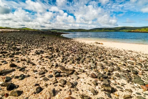 Looking south along the beach