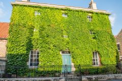 An ivy-covered building near the market place