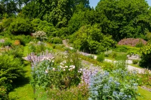 Formal terrace below the house